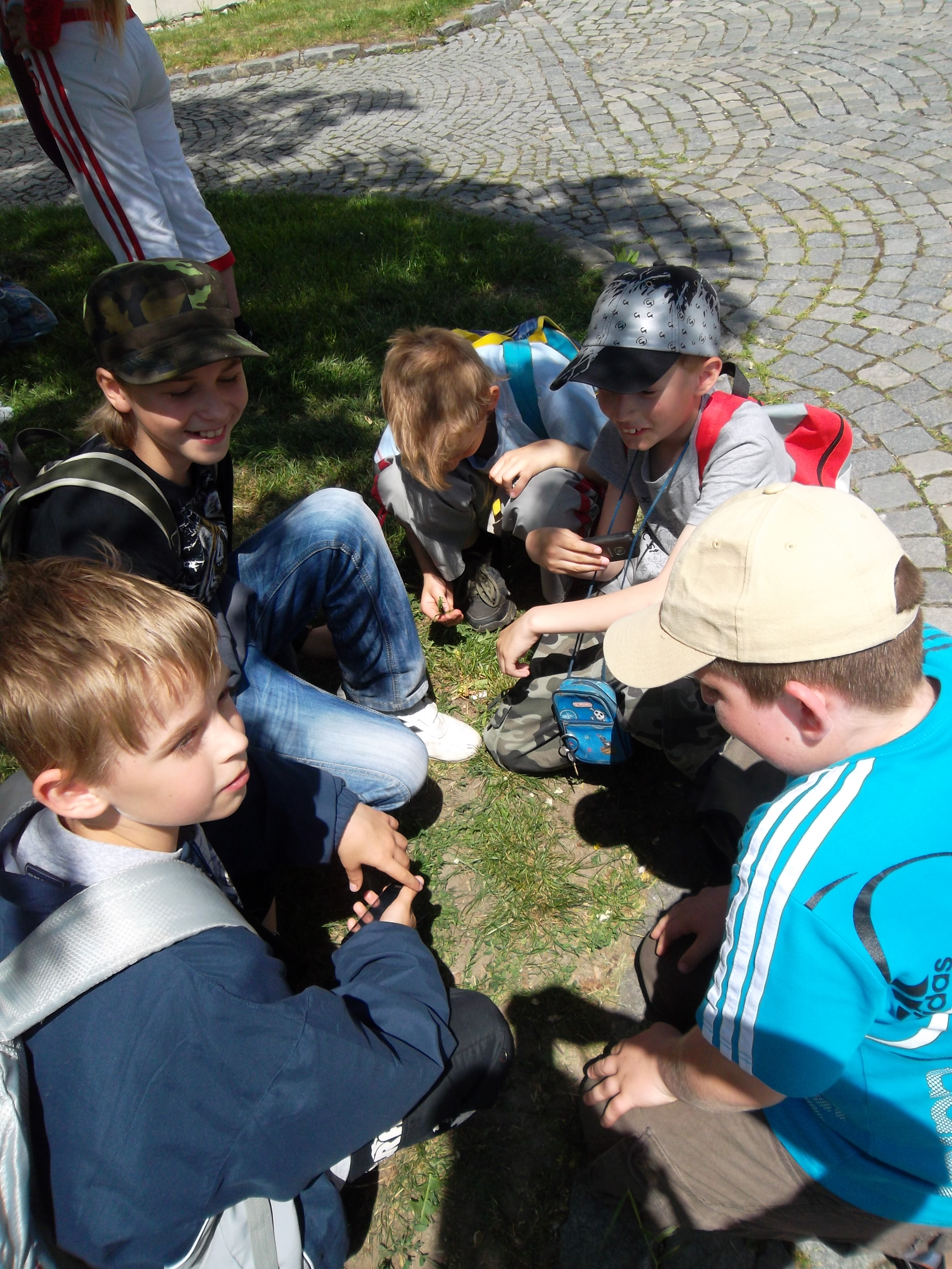 SAM_0855